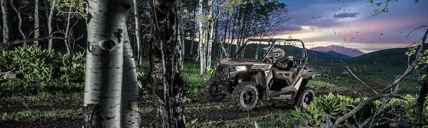 2019 Polaris® RZR® 900 for sale in Five Star Motorsports, Chilliwack, British Columbia